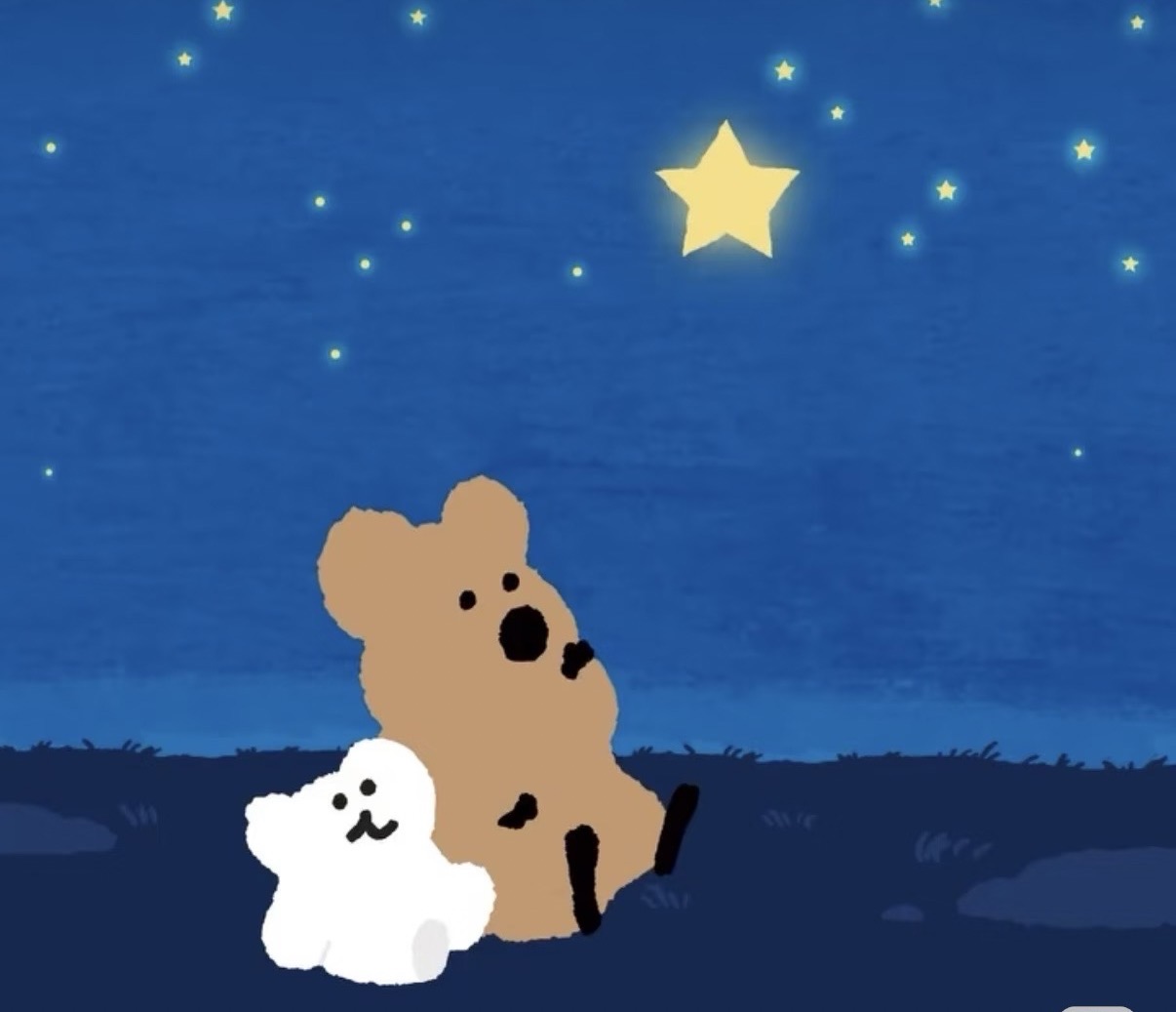 Ruiyan Wang